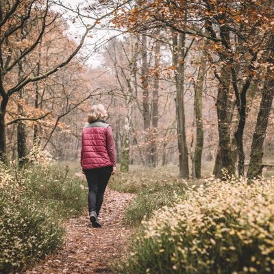 Wie wirkt Waldbaden auf Stress?